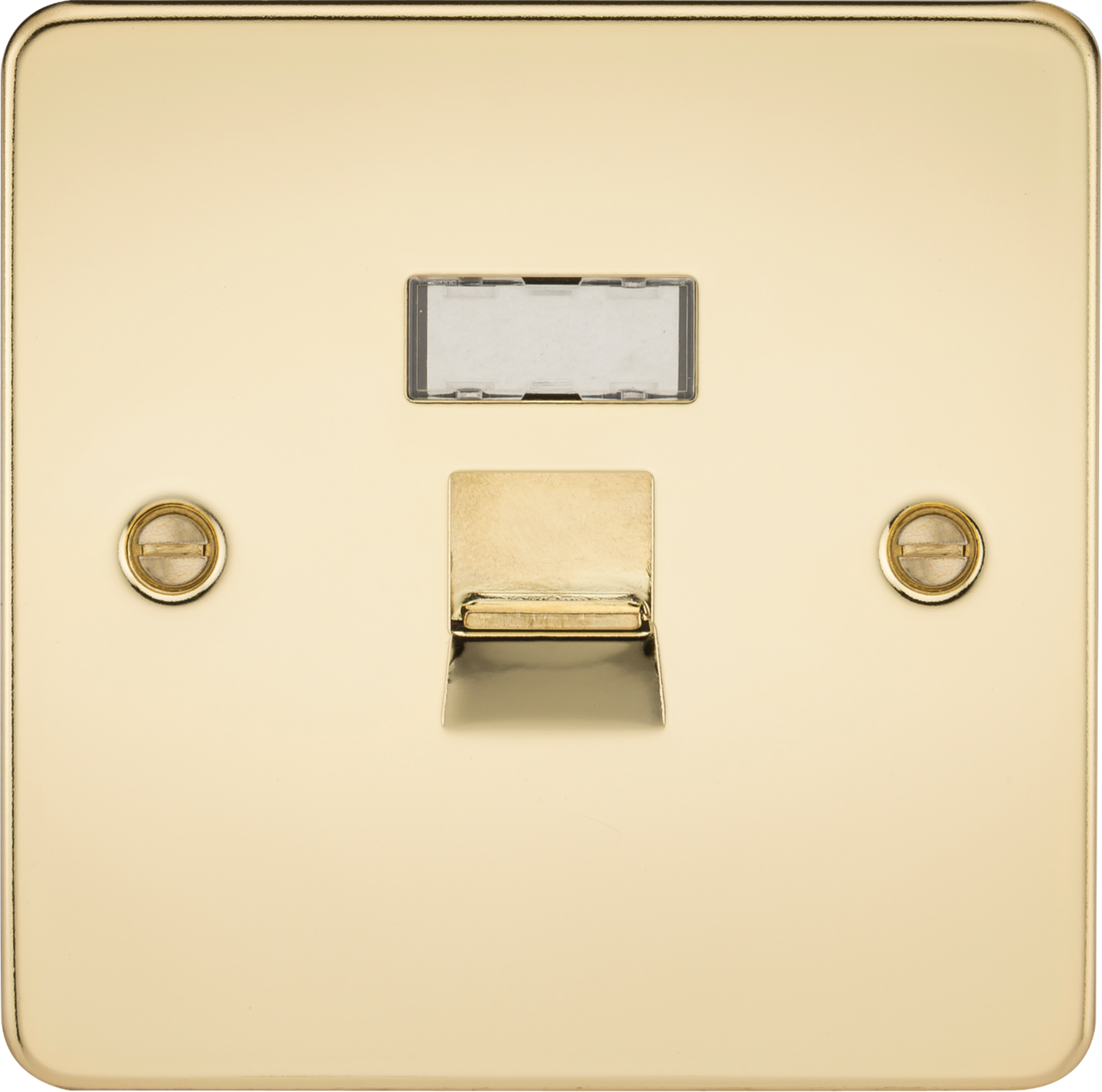 Flat Plate RJ45 network outlet - polished brass