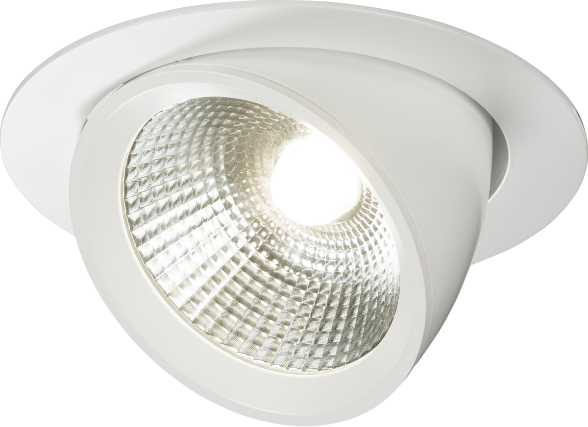 Led scoop downlight deals