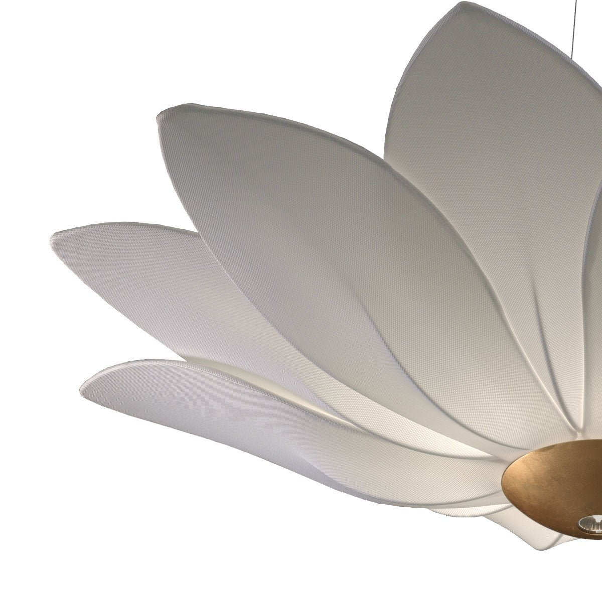 Kolarz 5230.80630 FIORE