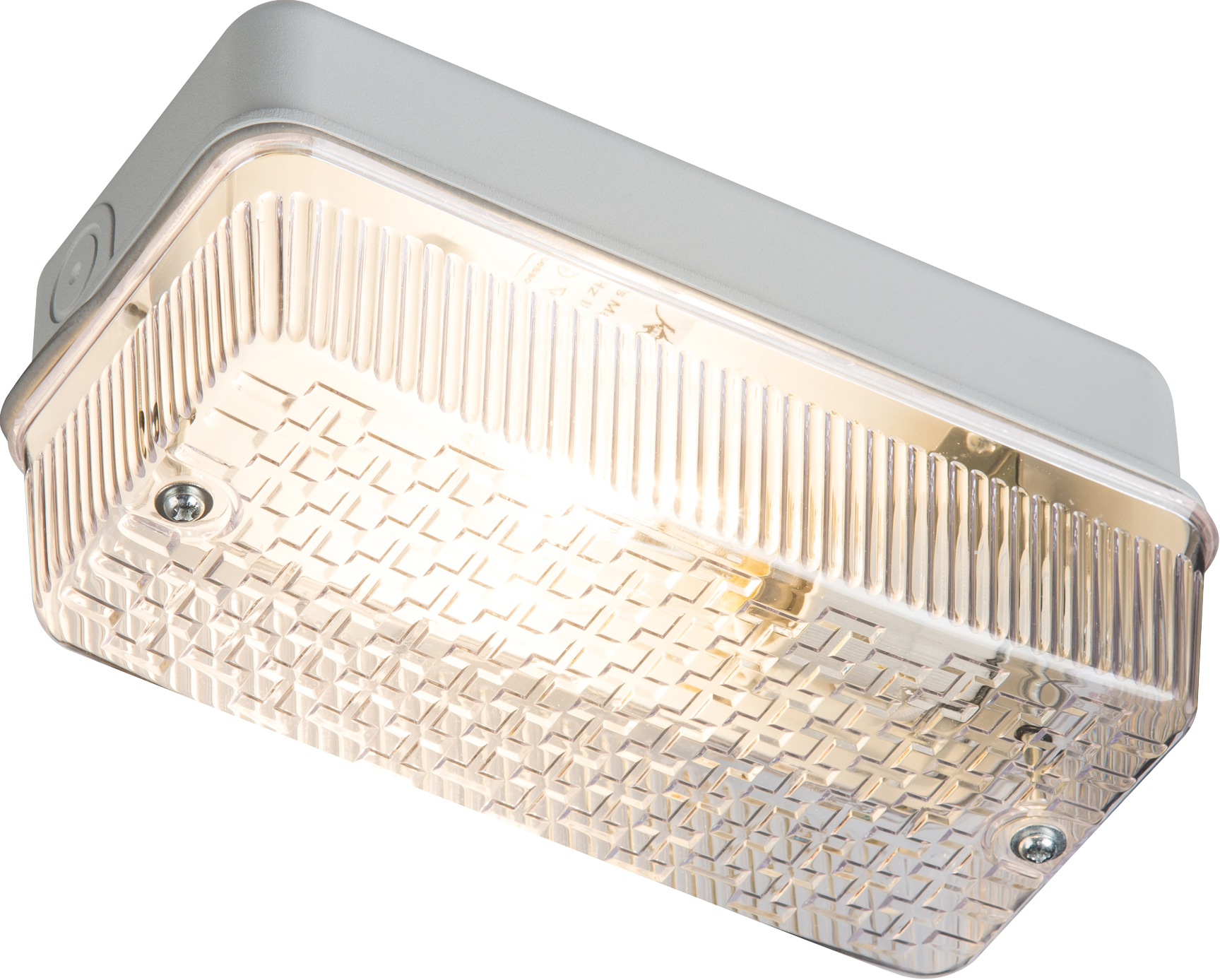 ML Accessories-BH22BC 230V IP65 100W (BC) B22 Bulkhead with Clear Prismatic Diffuser and Aluminium Base