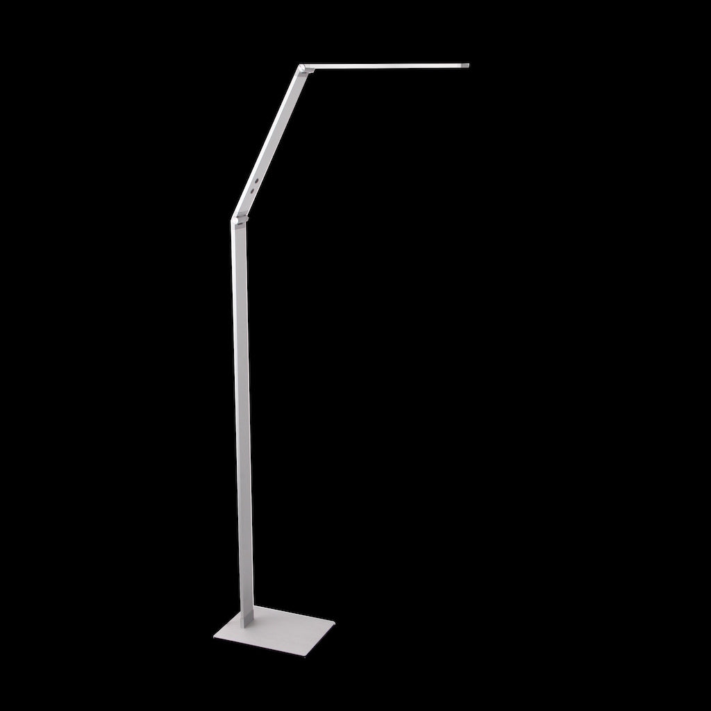 LED Floor Lamp