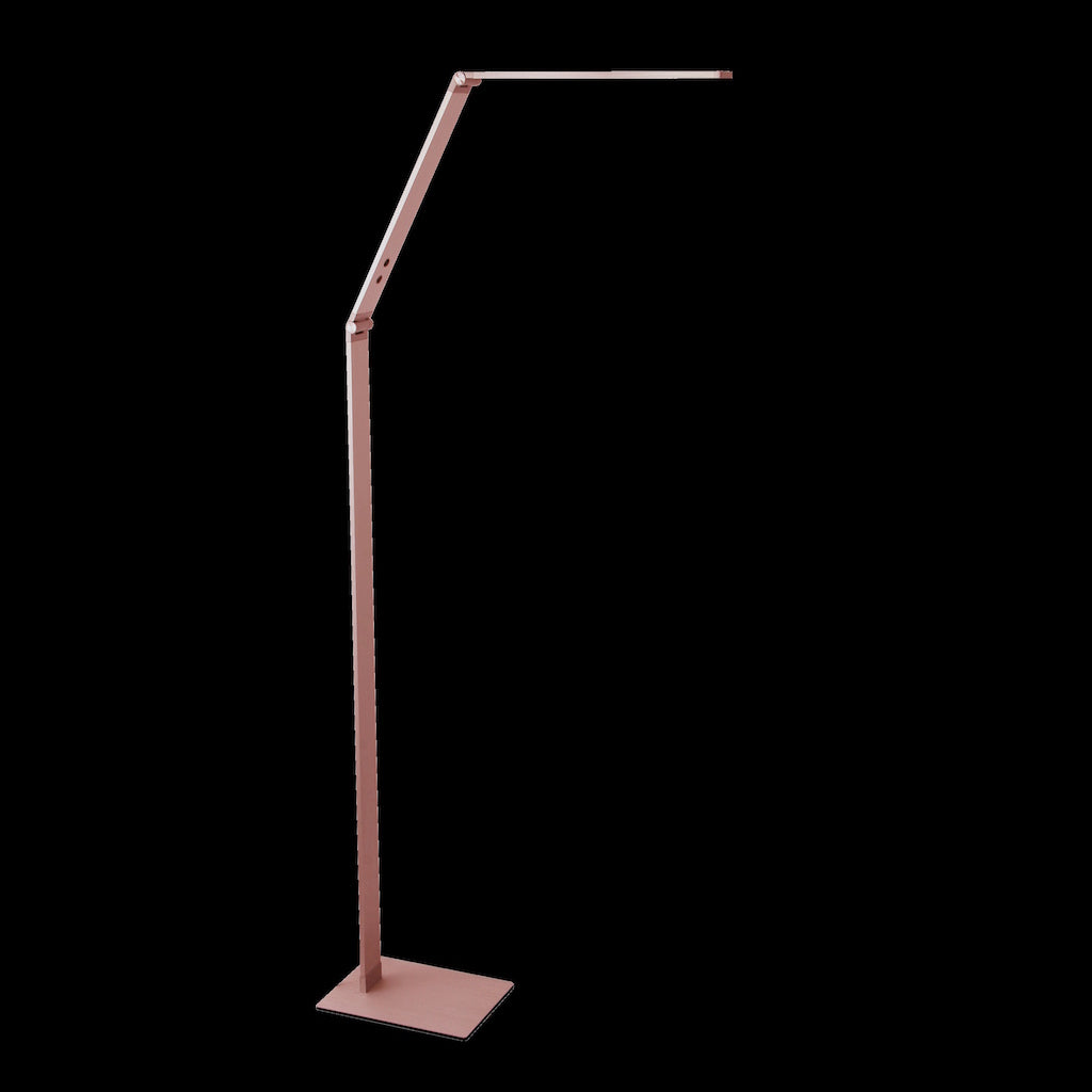 LED Floor Lamp