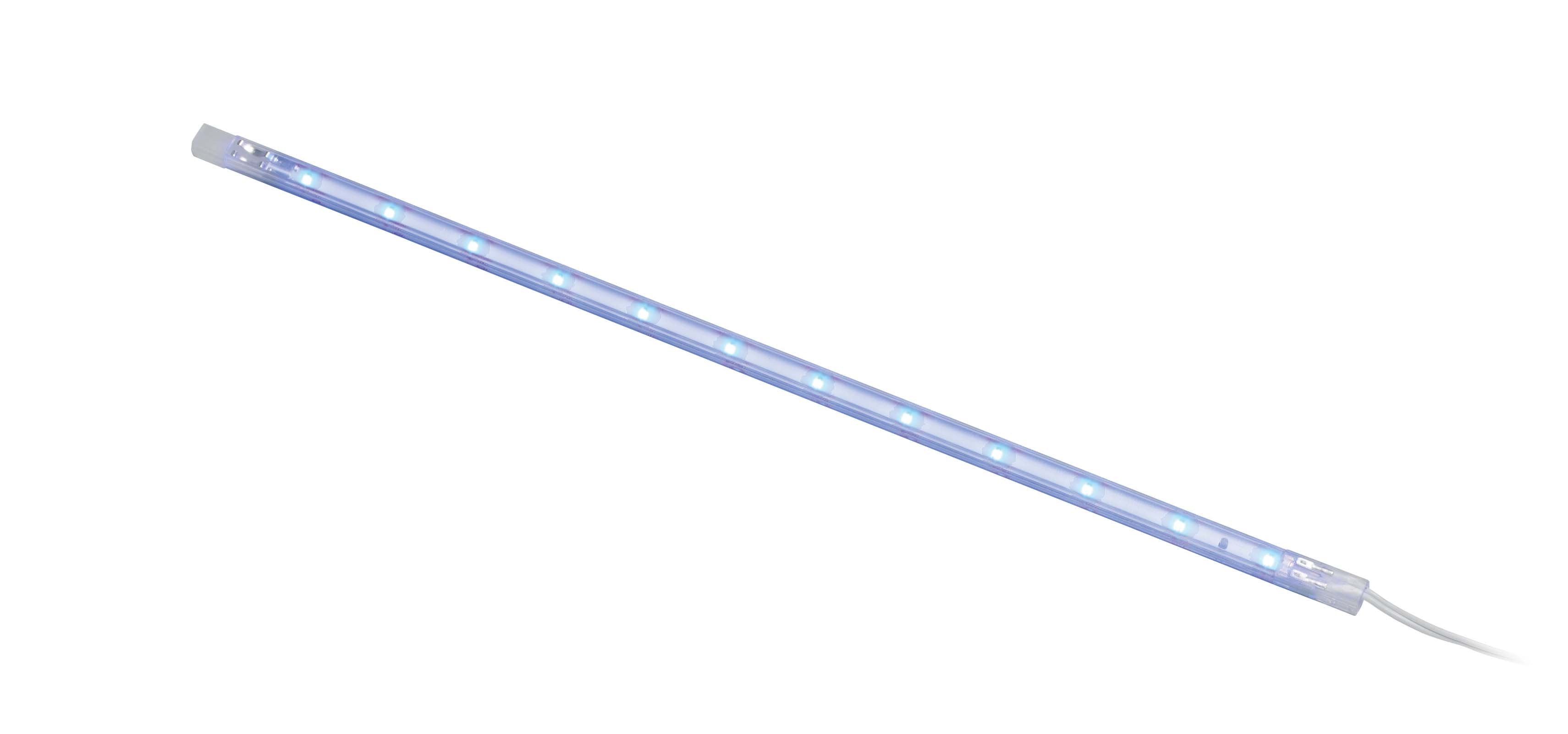 LED rigid flat strip 12 LEDs blue 310mm