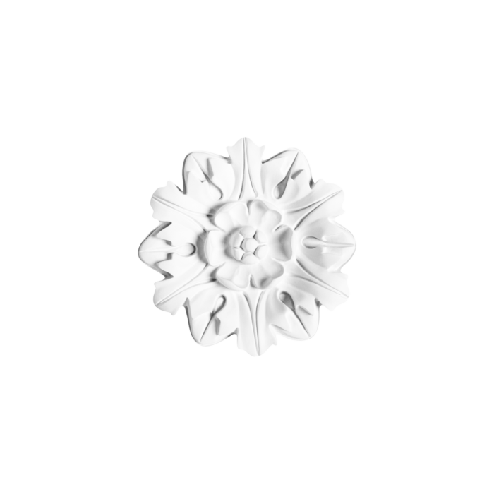 ROSE12