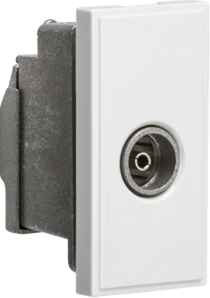 Screened TV Outlet 25 x 50mm - White