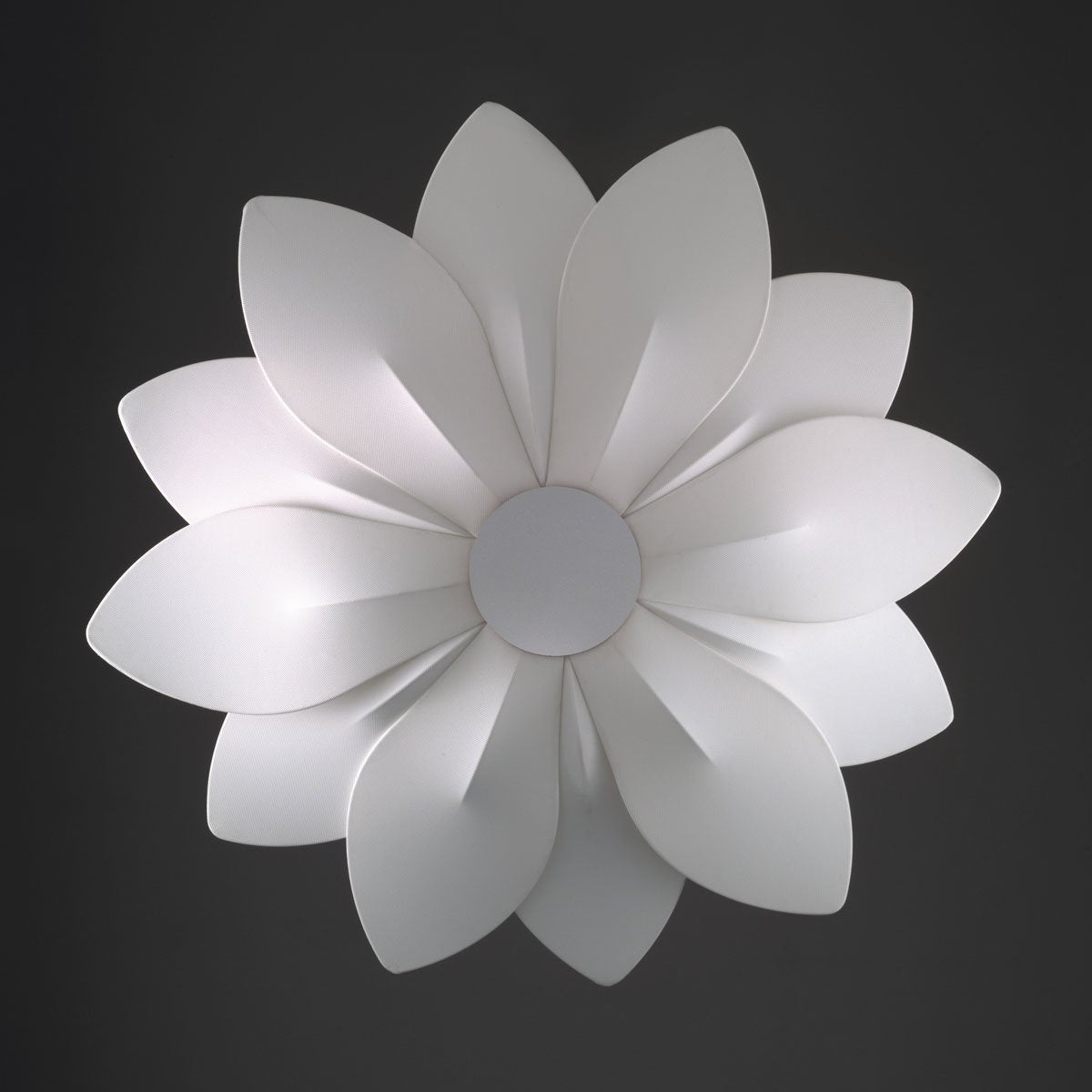 Kolarz 5230.60610 FIORE Wall Light