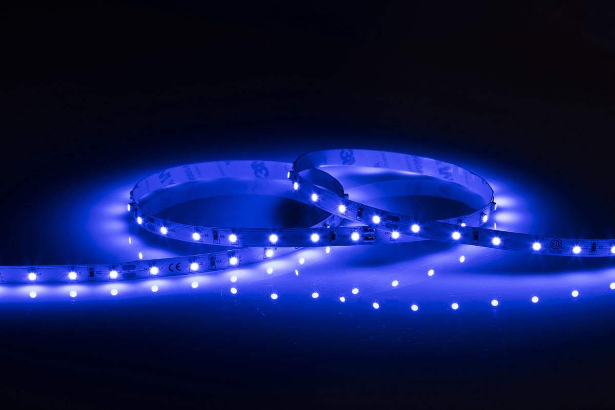 24V IP20 LED Flex Blue (50 metres)