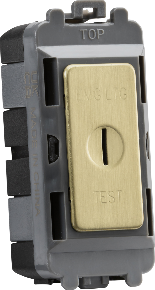 20AX 2 way SP key module (marked EMG LTG TEST) - brushed brass