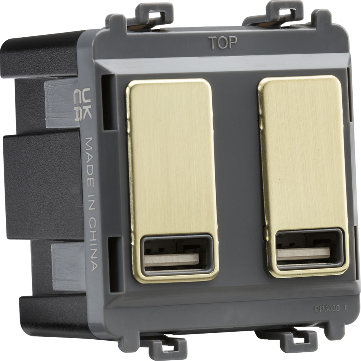 Dual USB charger module (2 x grid positions) 5V 2.4A (shared) - brushed brass